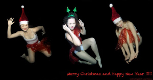 Merry Christmas and Happy New Year !!!! by Lucie Drlikova 